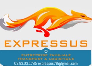 Logo EXPRESSUS